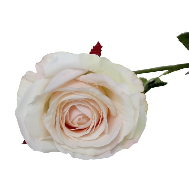 Camelot Open Rose Champagne - Small Bottle Luxury Gift