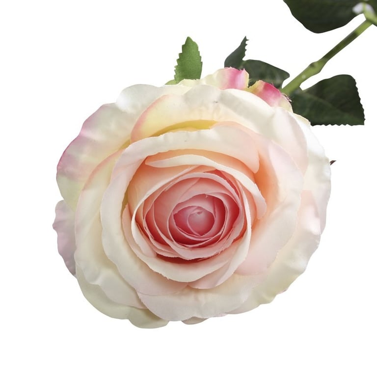 Camelot Open Rose Cream Pink Home Decor Accent
