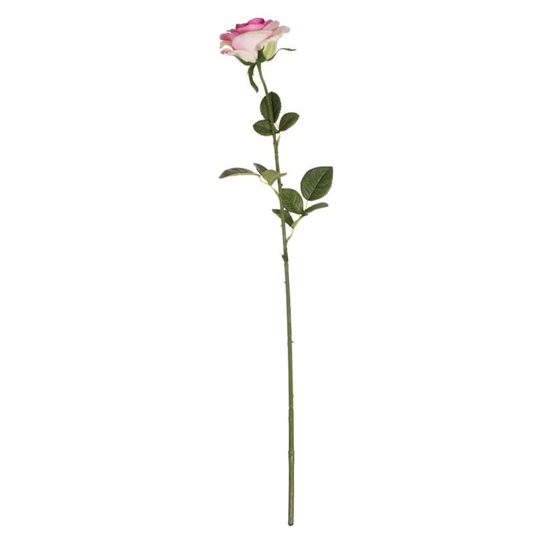Small Camelot Open Rose Blush Pink - Spring Home Decor Accent