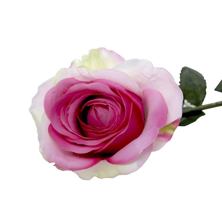 Small Camelot Open Rose Blush Pink - Spring Home Decor Accent