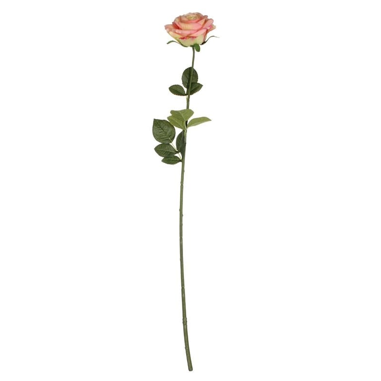 Small Camelot Open Rose Peach - Unique Indoor Plant & Garden Decoration in a Beautiful Floral Vase