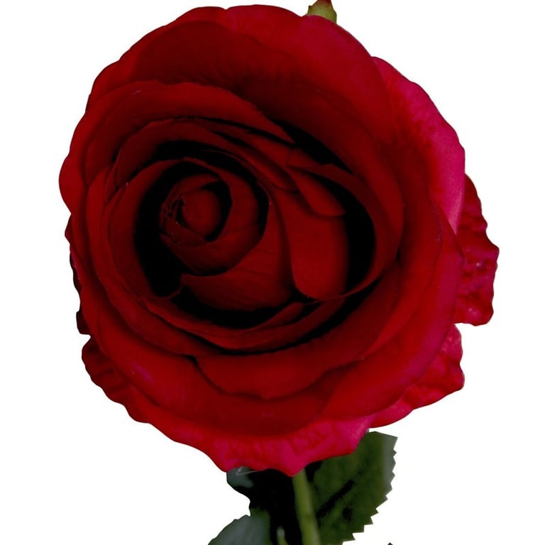 Small Camelot Open Rose Scarlet Red Vase for Garden Party Decorations and Home Accents