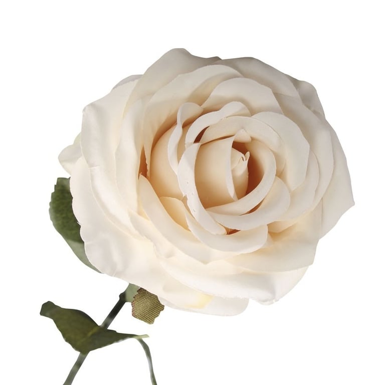 Vintage Rose Anti-Aging Cream - Natural Skincare for Wrinkle Reduction and Radiant Beauty