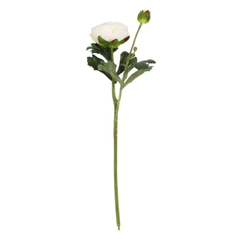 38cm Cream Rannunculus Garden Flowers - Perfect for Spring Floral Arrangements