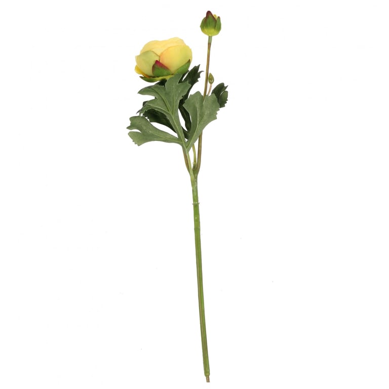 38cm Large Yellow Rannunculus Flowers - Perfect for Wedding Ceremonies and Floral Decorations