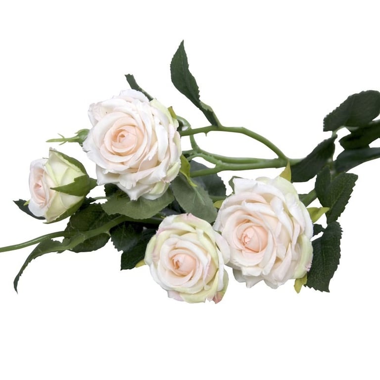Camelot Garden Rose Spray - Luxury Home Fragrance with Champagne Rose Scent