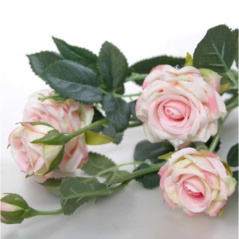 Camelot Garden Rose Spray Cream - Floral Fragrance for Pink Skin Radiance in Home & Garden Care