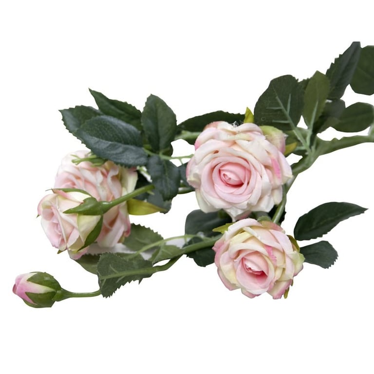 Camelot Garden Rose Spray Cream - Floral Fragrance for Pink Skin Radiance in Home & Garden Care