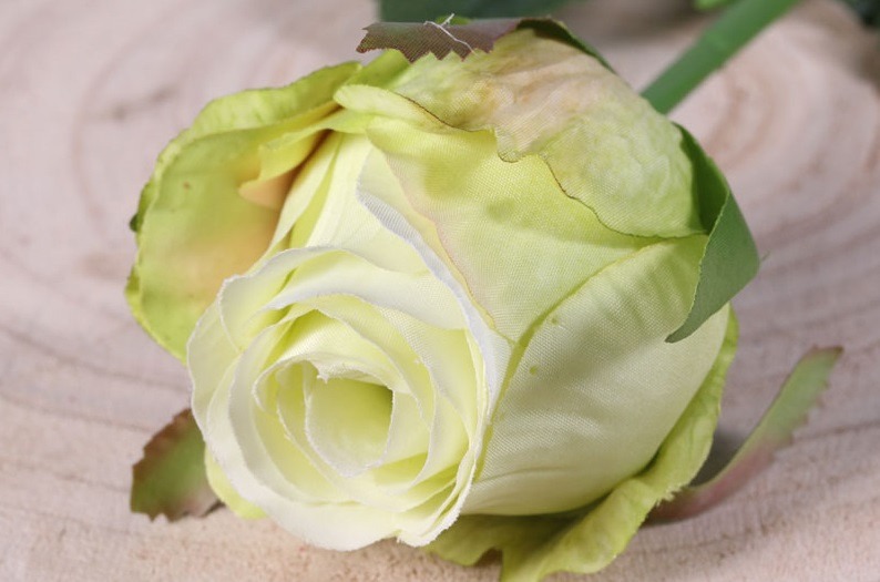 Small Rose Bud Light Green Floral Accent for Home Decor and Garden Decoration