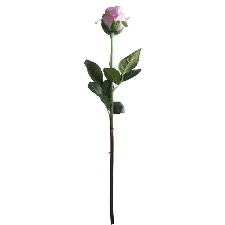 Small Rose Bud Lavender - Calming Home Decor with Floral Fragrance and Soothing Scent