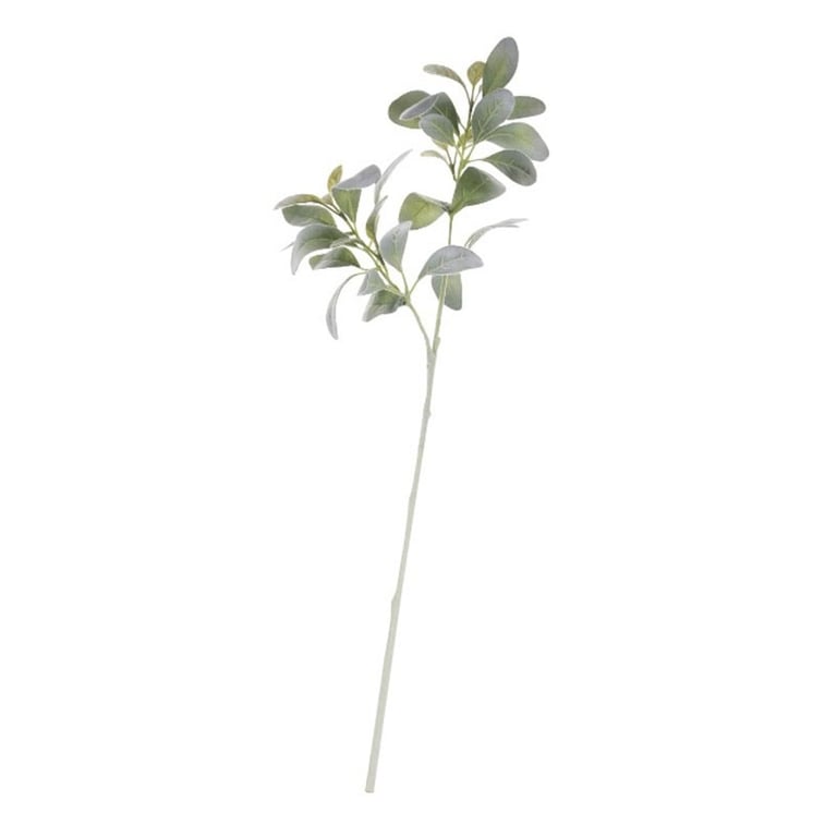 70cm Low Maintenance Green Lambs Ear Garden Ground Cover Plant