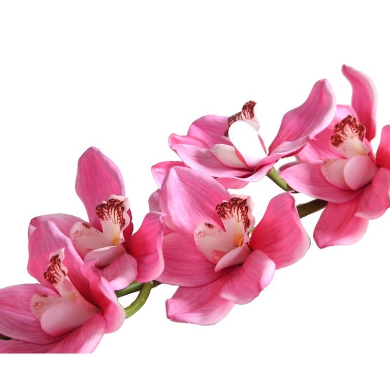 36inch Large Real Touch Cymbidium Mauve - Faux Flower Decor for Home Decoration