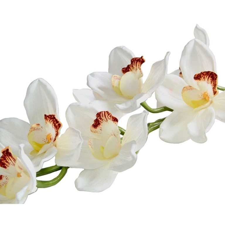 Real Touch Large White Cymbidium Orchid - 36 Inch High-Quality Home Decor Flower Arrangement