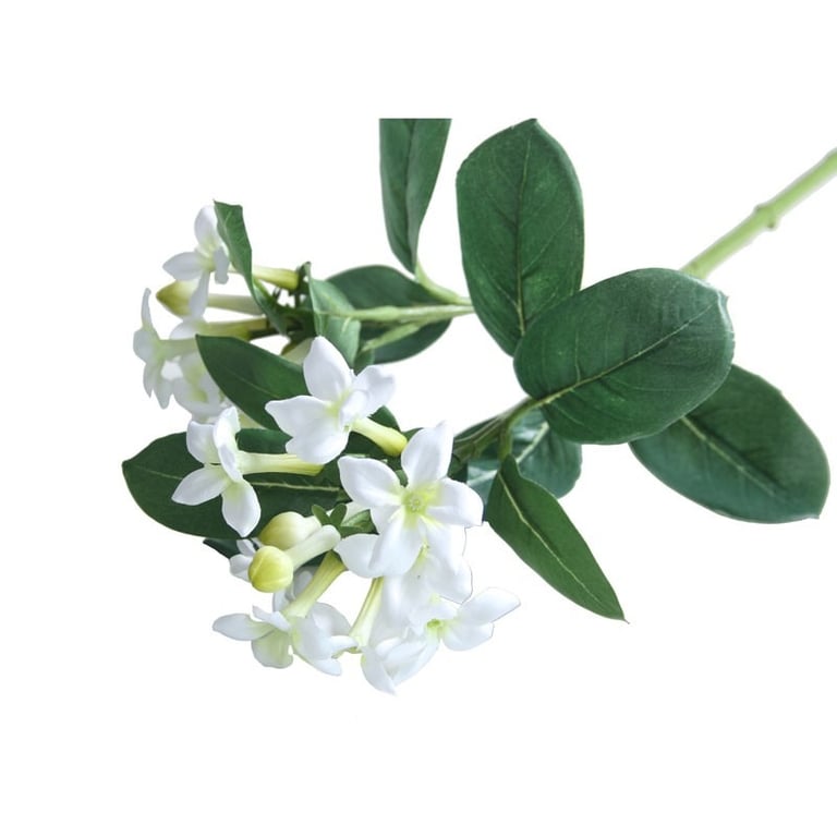 23inch White & Green Stephanotis Indoor Plant Spray - Floral Home Decor and Fragrance