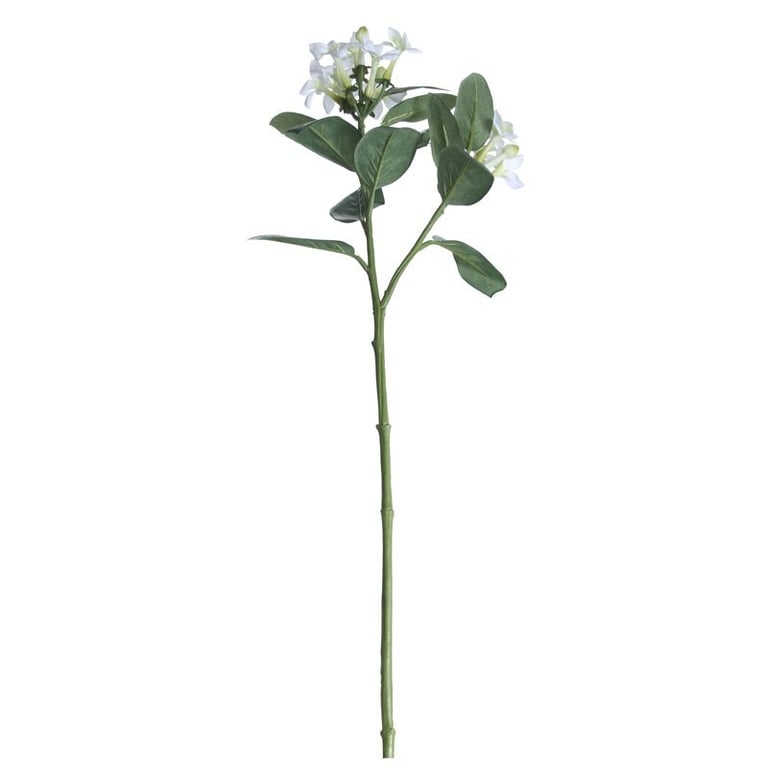 23inch White & Green Stephanotis Indoor Plant Spray - Floral Home Decor and Fragrance