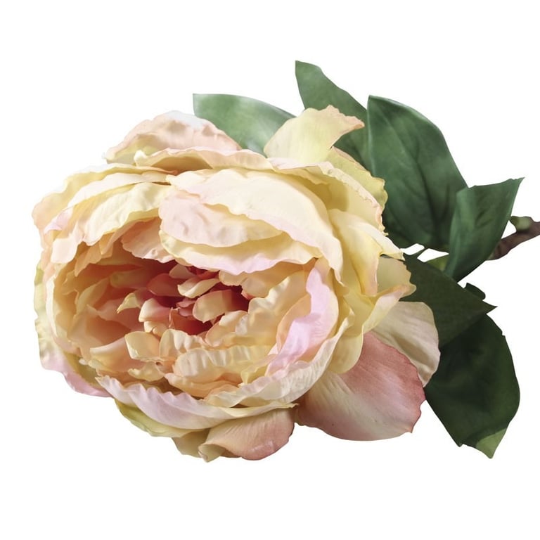 71cm Single Peony Cream Blush - Soft, Natural-looking Makeup for a Flawless Complexion