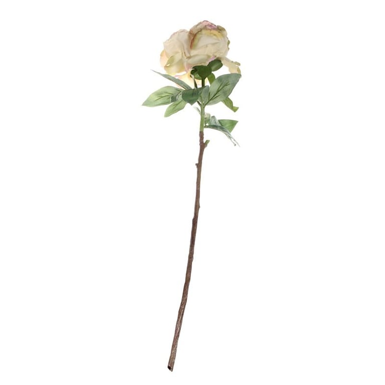 71cm Single Peony Cream Blush - Soft, Natural-looking Makeup for a Flawless Complexion