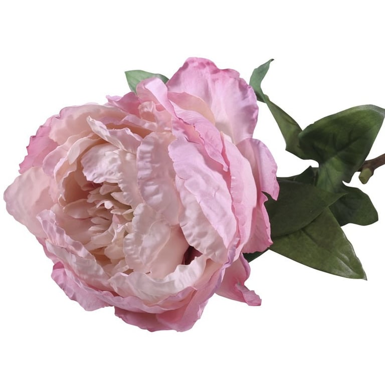 71cm Large Single Pink Peony Flower Decoration for Home Decor
