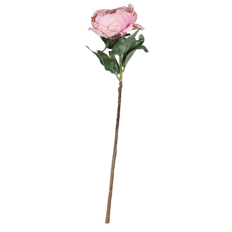 71cm Single Stem Peony Peach Flower for Home Decor - Garden Floral Arrangement
