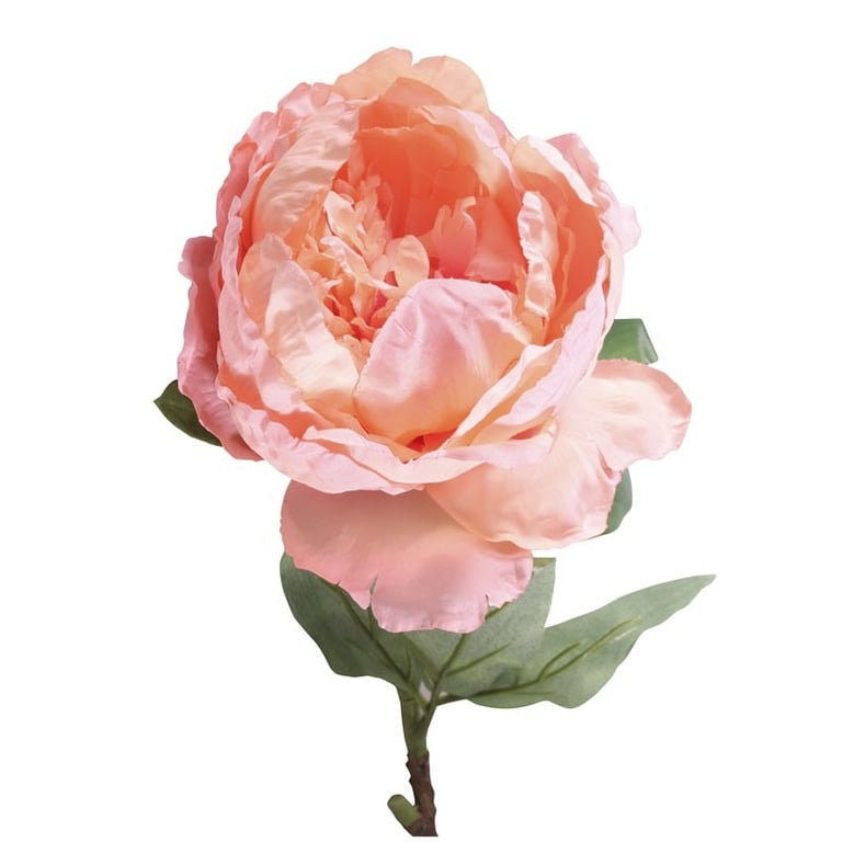 71cm Single Stem Peony Peach Flower for Home Decor - Garden Floral Arrangement