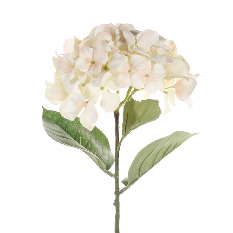 68cm Cream Single Stem Hydrangea Large Floral Arrangement Bouquet