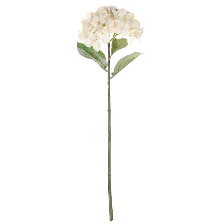 68cm Cream Single Stem Hydrangea Large Floral Arrangement Bouquet