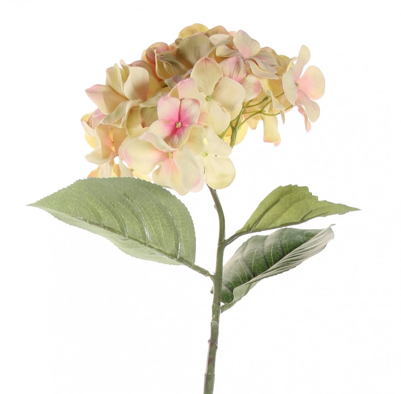 68cm Single Large Cream Blush Hydrangea Flower - Beautiful Home Decor Floral Decoration