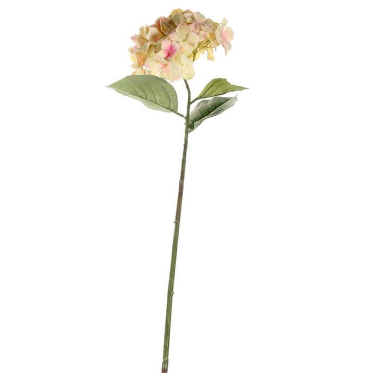 68cm Single Large Cream Blush Hydrangea Flower - Beautiful Home Decor Floral Decoration