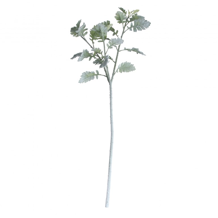 Grey Green Long Stem Dusty Miller Spray Plant - Garden Decor Accent