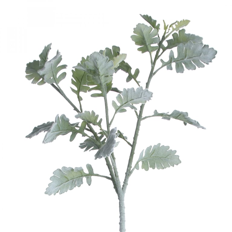 Grey Green Long Stem Dusty Miller Spray Plant - Garden Decor Accent