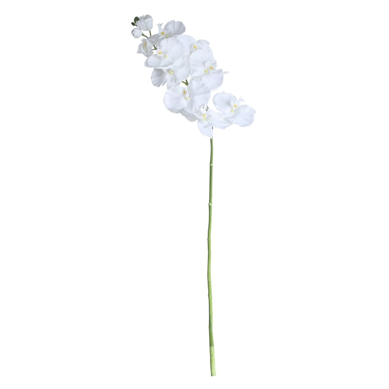 Large White Phalaenopsis Spray Orchid - Beautiful Home and Garden Decor
