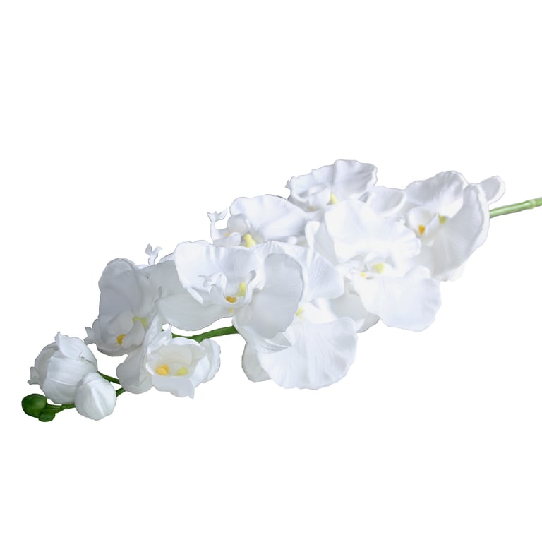Large White Phalaenopsis Spray Orchid - Beautiful Home and Garden Decor