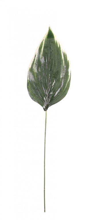 26 Large Green Hosta Single Leaf Plant Foliage for Home & Garden Decoration
