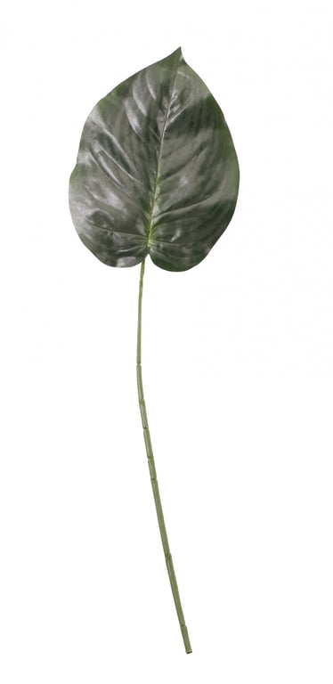 23 Green Hosta Single Leaf - Perfect for Outdoor Landscaping and Garden Decoration