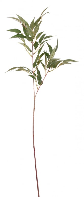 Ficus Benjamina 25 inch Tropical Indoor Tree - Ficus Spray Plant for Home and Garden