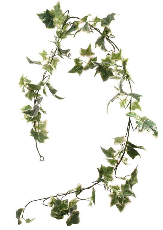 Holland Ivy Garland 6ft - Elegant Greenery Home Decoration for Wedding and Home Decor