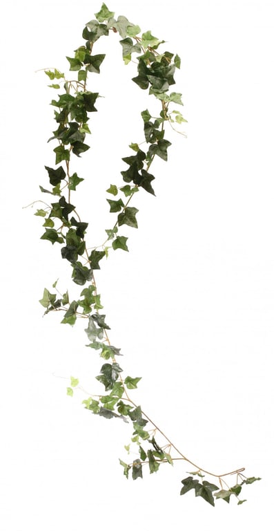 Irish Ivy 6ft Garland - Elegant Home Dcor Plant Wreath for Holiday Accents and Greenery Decoration