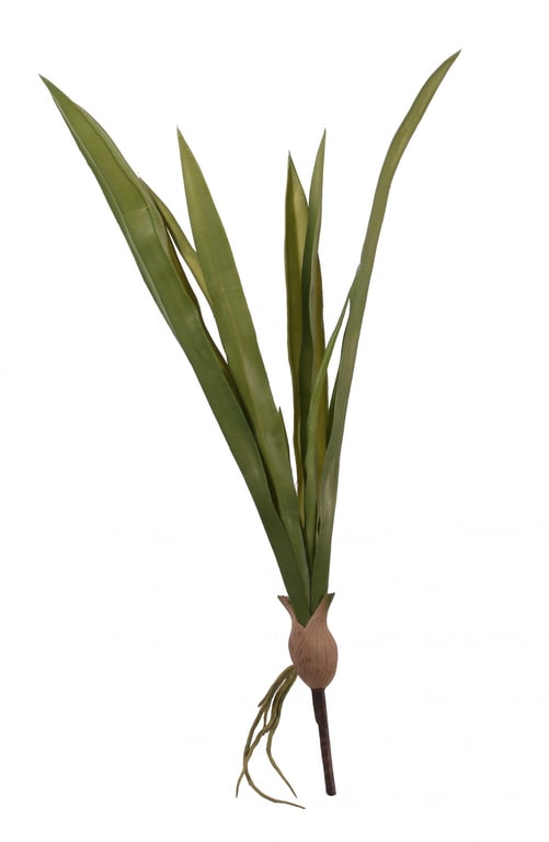 Large Cymbidium Leaves - 23 Green Plant Wall Art Decoration