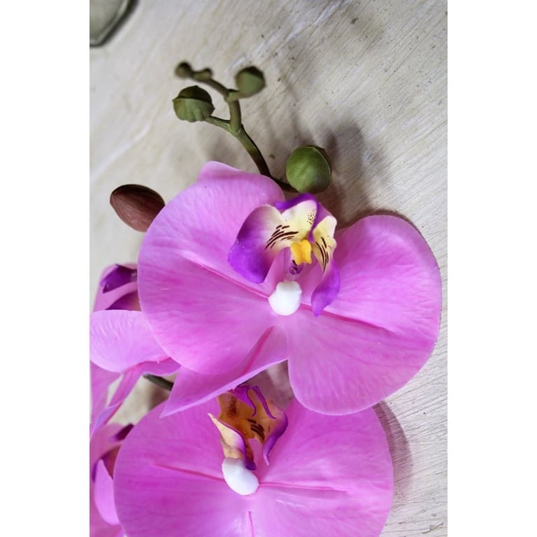 Pink Phalaenopsis Spray 34.5 Inch - Elegant Home Decor Indoor Plant Arrangement