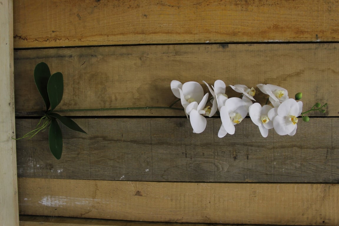 White Phalaenopsis Spray 33.5 inch - Elegant White Orchid Indoor Plant Decoration for Home Garden Decor
