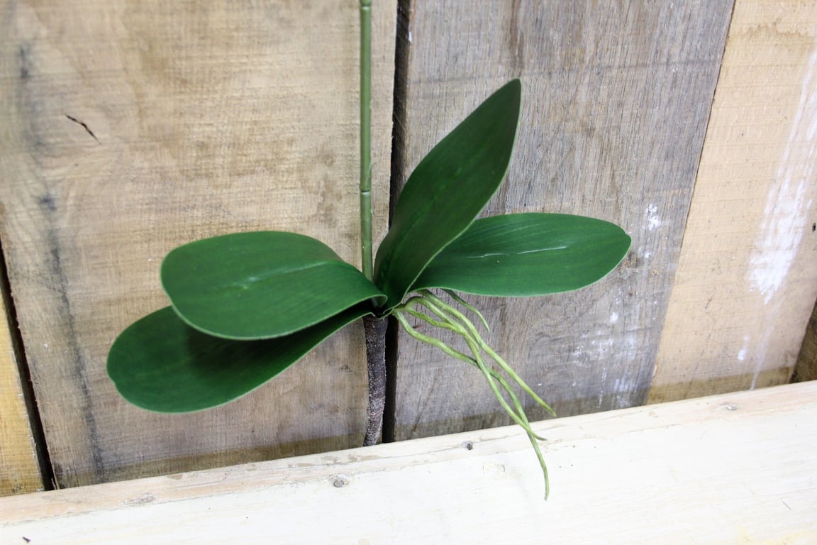 White Phalaenopsis Spray 33.5 inch - Elegant White Orchid Indoor Plant Decoration for Home Garden Decor