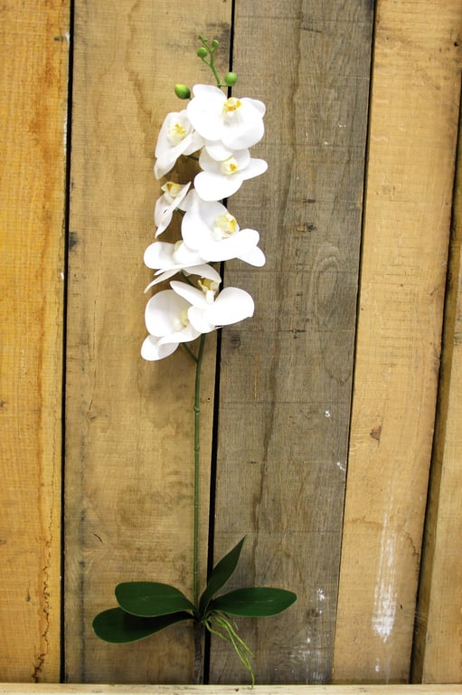 White Phalaenopsis Spray 33.5 inch - Elegant White Orchid Indoor Plant Decoration for Home Garden Decor