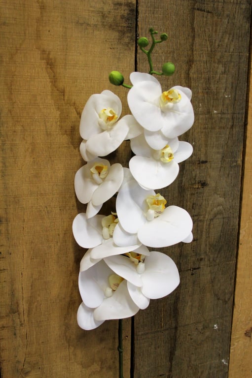 White Phalaenopsis Spray 33.5 inch - Elegant White Orchid Indoor Plant Decoration for Home Garden Decor