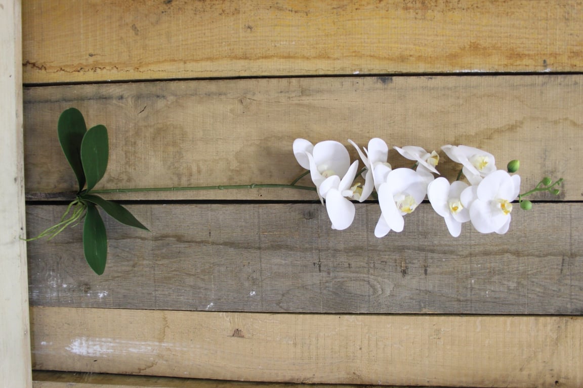 White Phalaenopsis Spray 33.5 inch - Elegant White Orchid Indoor Plant Decoration for Home Garden Decor