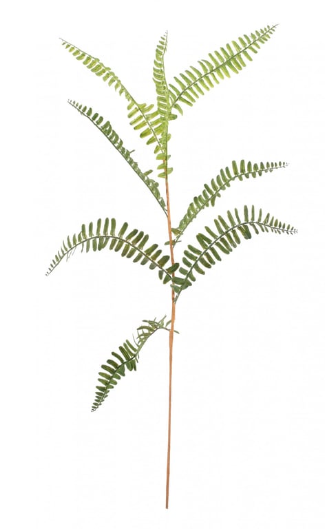 Mini Fern Plant Spray - 70cm Indoor Greenery Decoration
