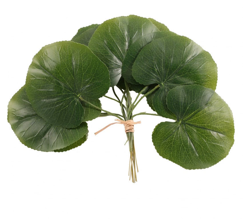 Galax Leaf 25cm - Elegant Indoor Plant Decoration for Home and Office