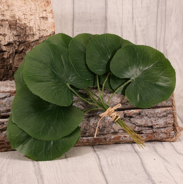 Galax Leaf 25cm - Elegant Indoor Plant Decoration for Home and Office