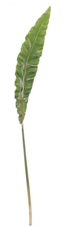 Asplenium Leaf Plant - 90cm Large Indoor Fern with Tropical Foliage Decoration