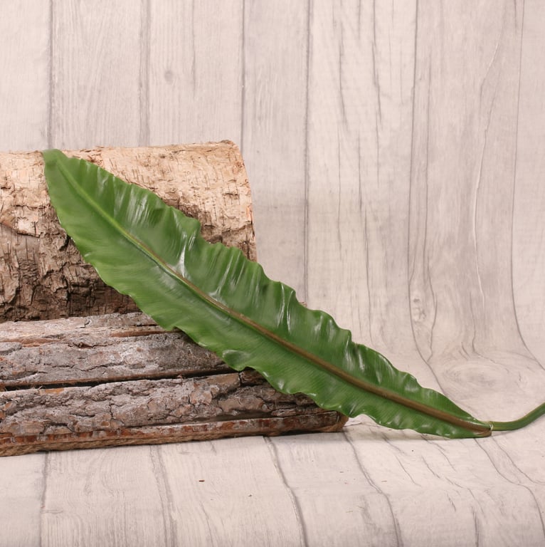 Asplenium Leaf Plant - 90cm Large Indoor Fern with Tropical Foliage Decoration