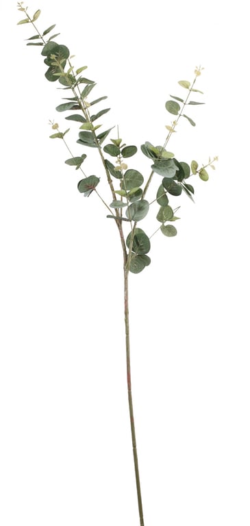 Pale Green Eucalyptus Spray 92cm - Fresh Home Fragrance and Indoor Air Freshener